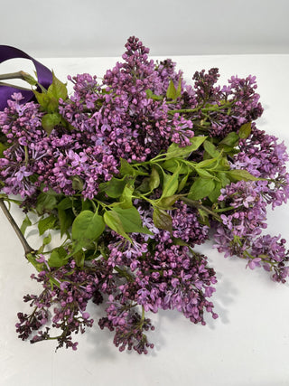 The Lilac Box "The Flower Prescription"