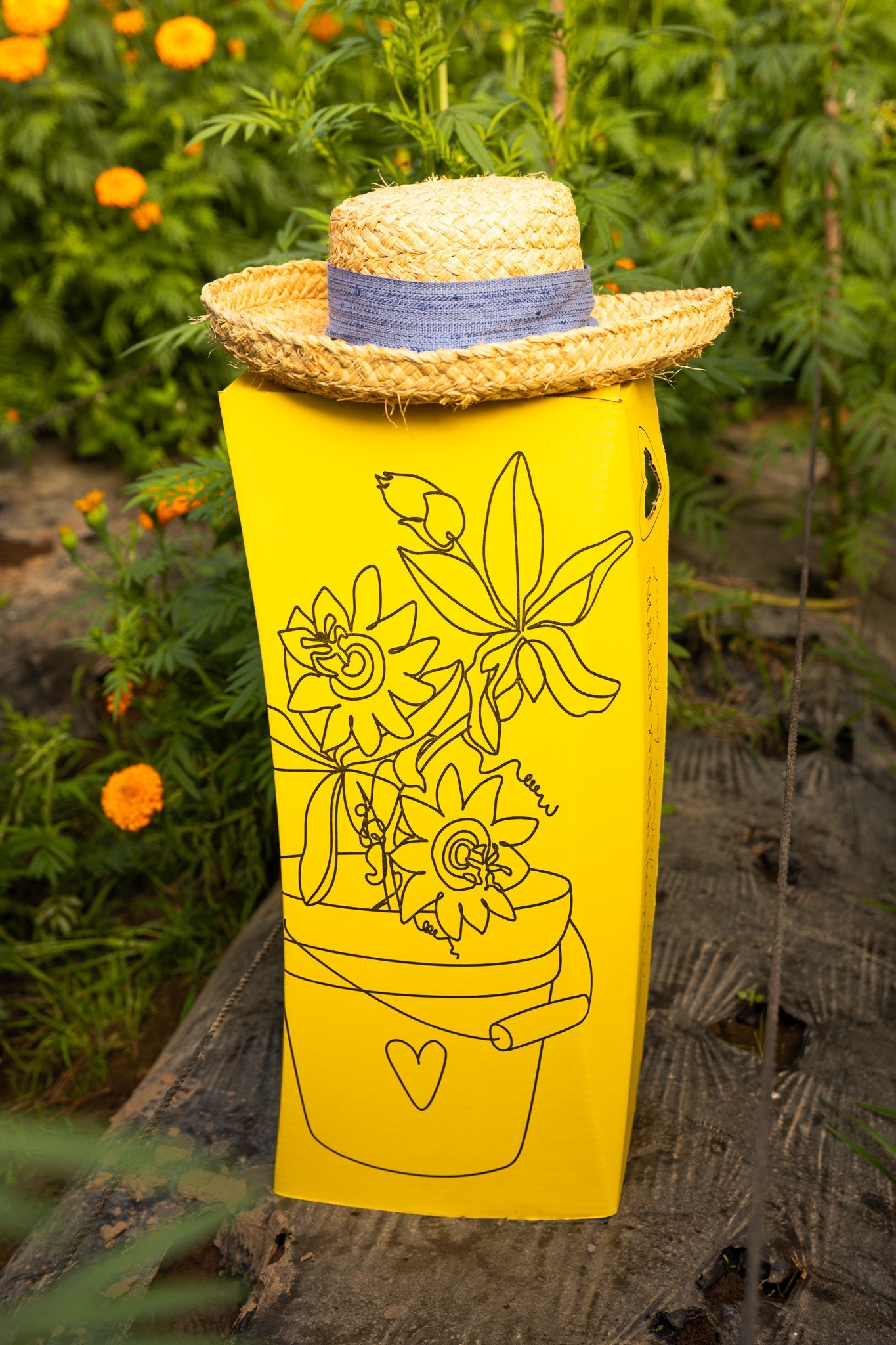 Prescript Flower The Flower Prescription: How Flowers Became My Medicine – Jenny Barker ...