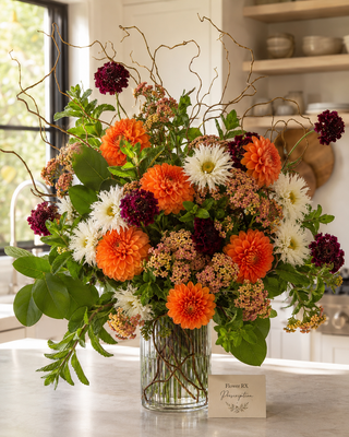 Introducing the June Flower RX: Freedom Flowers for Flow, Adventure, Calm, Joy, and Summer Energy