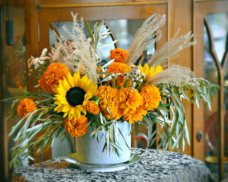 The New Box Drop of Gratitude: A November Reflection