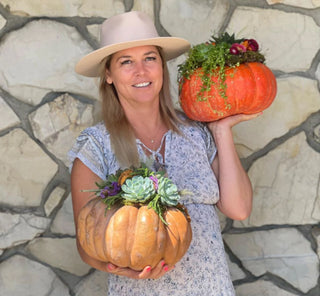 Welcome to Pumpkin & Succulent Season