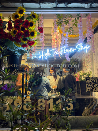 The Night That Bloomed – Social Novel Friends x Jenny Barker