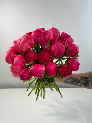 The Final Bloom: Our Peony Season Is Coming to a Close