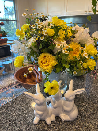 What to Do When You Receive Fresh Flower: Flower Care Tips from The Flower Doctor