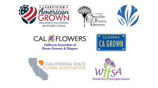 California Grown. Farm Direct. Shipped Nationwide.