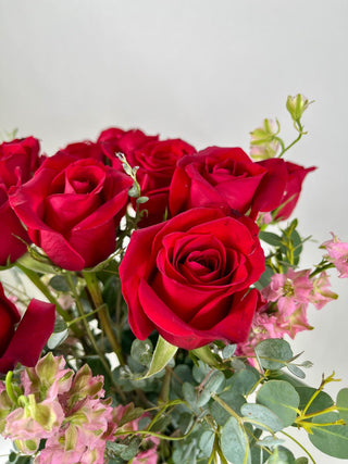 Can Roses Change Your Brain? New Research Gives Us Another Reason to Stop and Smell the Roses