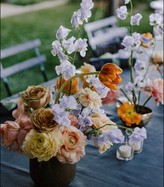 Flower Doctor Tips: Science, Facts & Flower Care Myths Explained