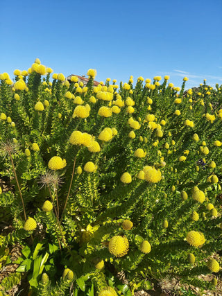 What’s in Season Right Now