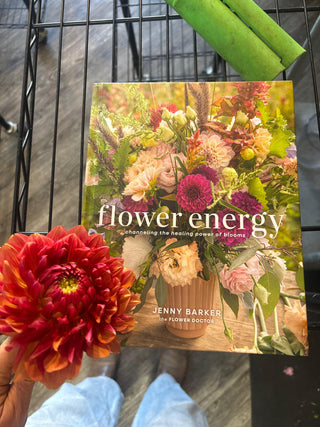 Get a Free Flower Reading With Jenny Barker The Flower Doctor