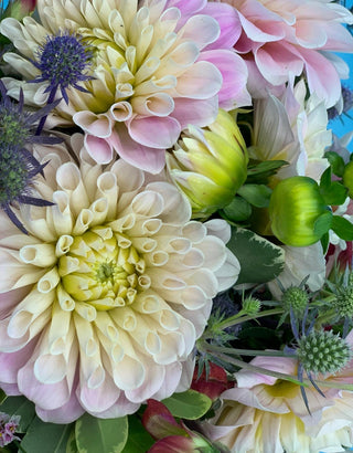 Backyard Party Flowers: How to Bring Your Theme to Life with Magical Blooms