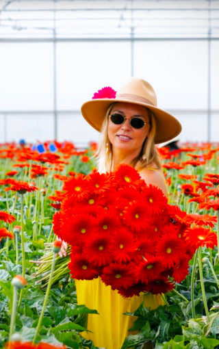 The Most Joyful Flower: Gerbera Daisy