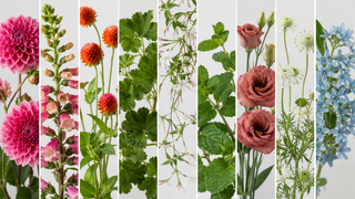 Flowers Rx™ Farm Fresh Flower Box | Overnight Nationwide Flower Delivery