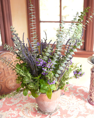 I Am: The Confidence Prescription