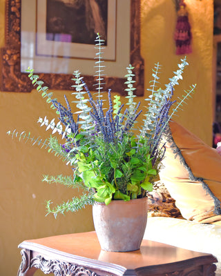 I Am: The Confidence Prescription