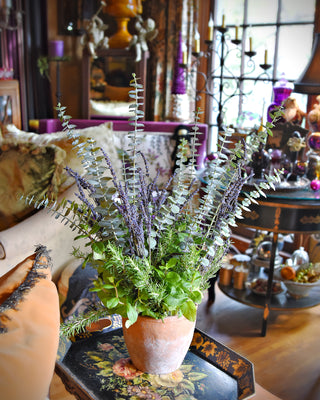 I Am: The Confidence Prescription