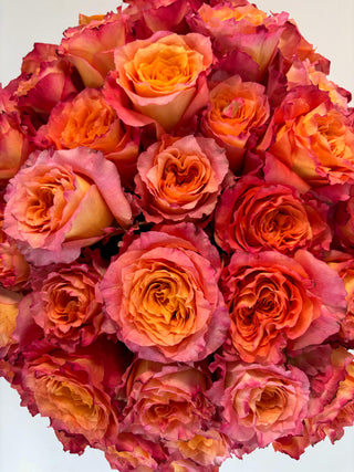 Four Dozen Ecuadorian Free Spirit Roses
