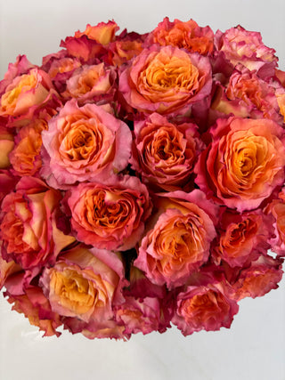 Four Dozen Ecuadorian Free Spirit Roses