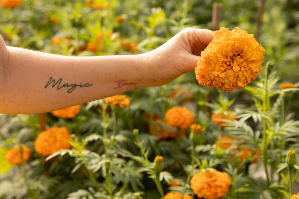 Prescript Flower The Flower Prescription – Jenny Barker The Flower Doctor