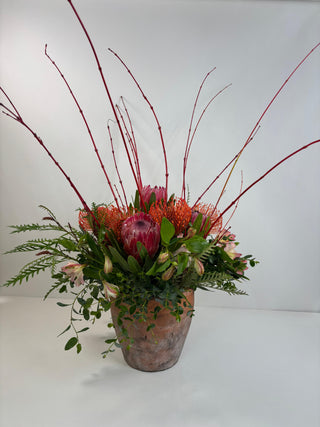 Flower RX: Confidence