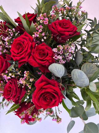 Valentine's Day Luxury Red Roses