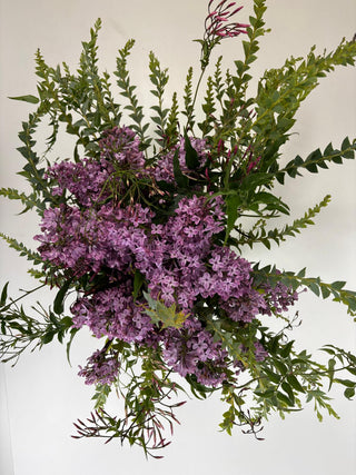 Lilac Serenity Designer Arrangement