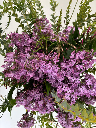 Lilac Serenity Designer Arrangement