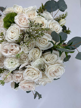 Ivory Garden Romance