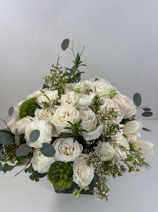 Ivory Garden Romance