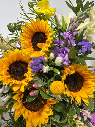 She Was the Sun First