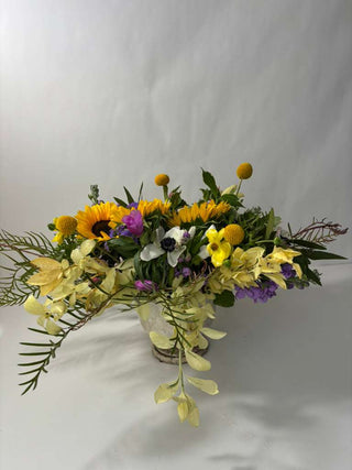 She Was the Sun First