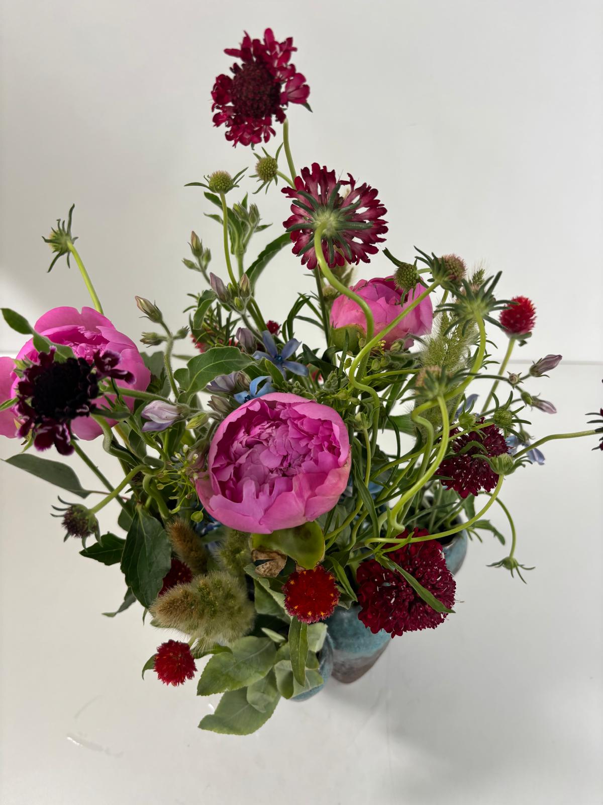Galactic Love Garden – Jenny Barker The Flower Doctor