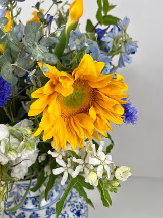 Summer Sunflower Energy