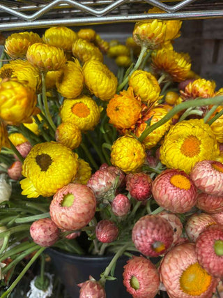 Flowers Rx™ Farm Fresh Flower Box | Overnight Nationwide Flower Delivery