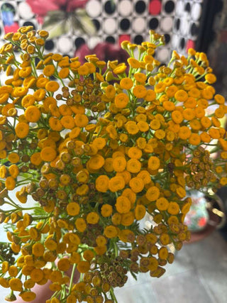 Flowers Rx™ Farm Fresh Flower Box | Overnight Nationwide Flower Delivery