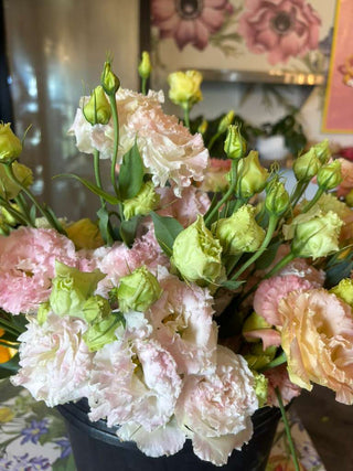 Flowers Rx™ Farm Fresh Flower Box | Overnight Nationwide Flower Delivery