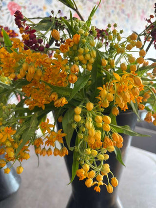 Flowers Rx™ Farm Fresh Flower Box | Overnight Nationwide Flower Delivery