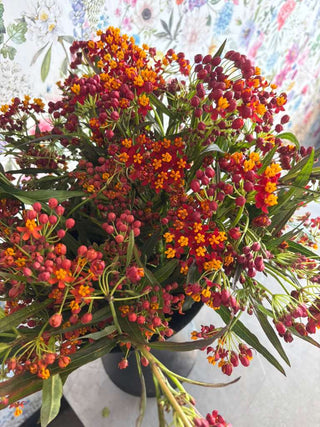 Flowers Rx™ Farm Fresh Flower Box | Overnight Nationwide Flower Delivery