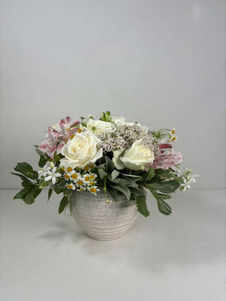 Soft Peace Flower Energy