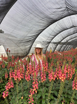 Flowers Rx™ Farm Fresh Flower Box | Overnight Nationwide Flower Delivery