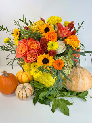 Fall Designer’s Choice