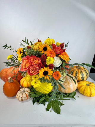 Fall Designer’s Choice