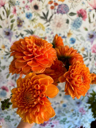 The Flower Prescription™