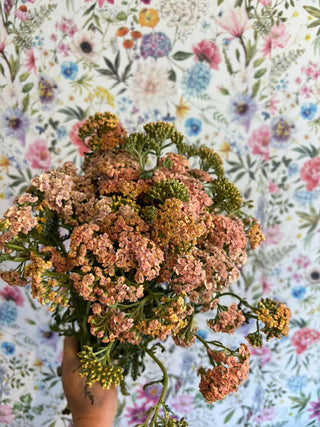 The Flower Prescription™