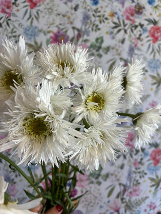 The Flower Prescription™